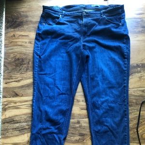 JJill High Rise Plus Size Jeans